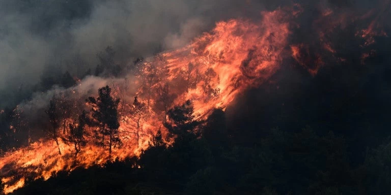 Προσοχή: Πολύ υψηλός κίνδυνος πυρκαγιάς σε Αττική και Εύβοια την Κυριακή